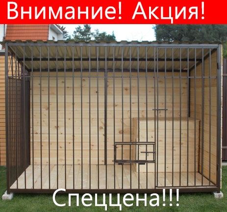 🐶 Топ самых красивых собачьих будок